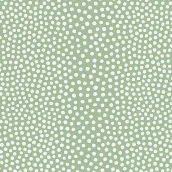 Meet your Posher, Avery - Picture 4 of 4